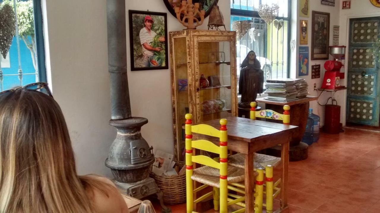 Hostal El Cascabel Cholula Buitenkant foto