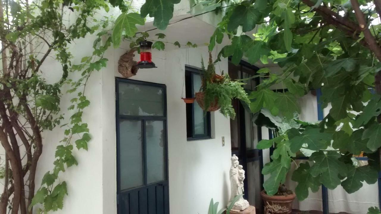 Hostal El Cascabel Cholula Buitenkant foto