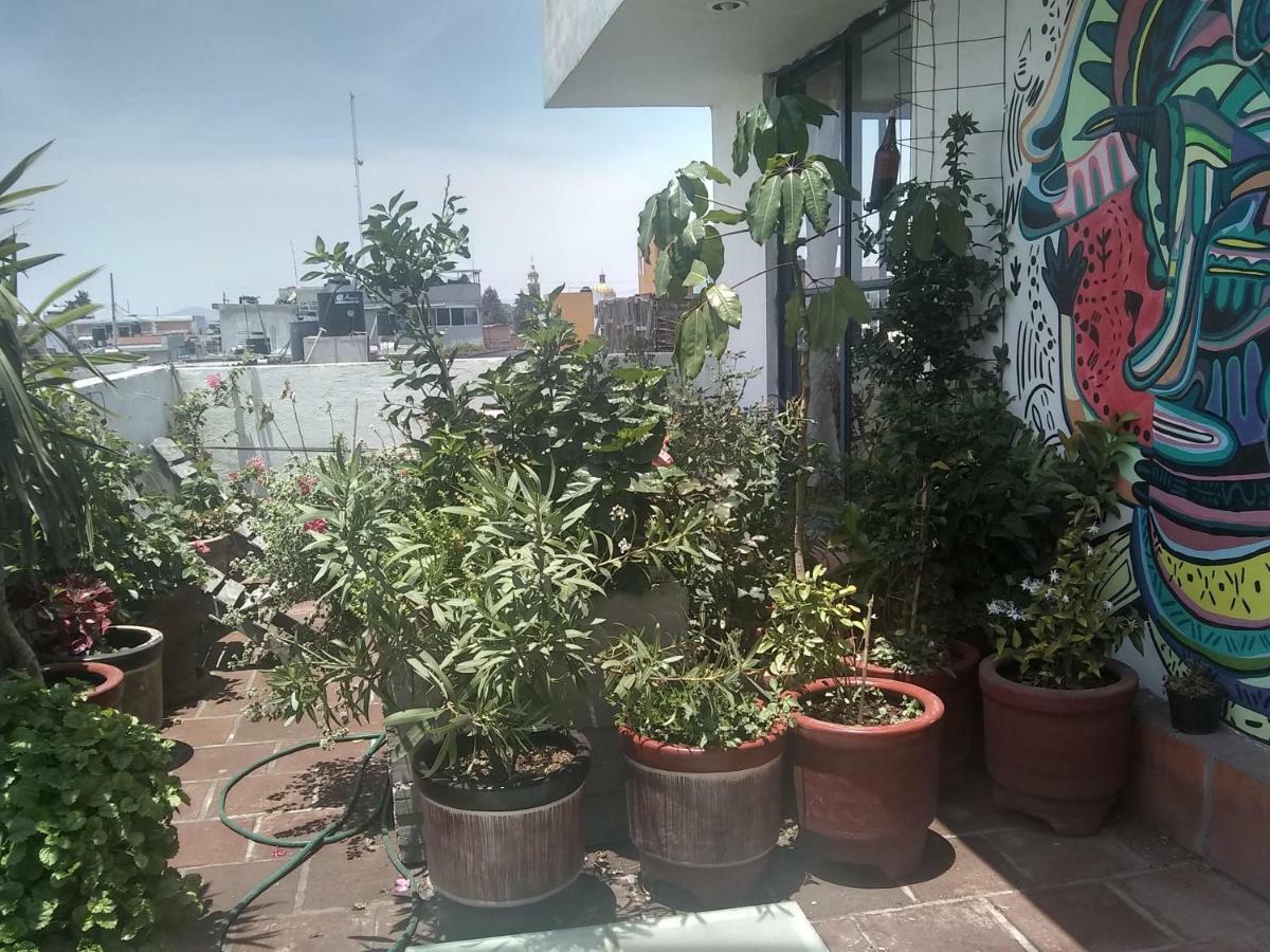 Hostal El Cascabel Cholula Buitenkant foto
