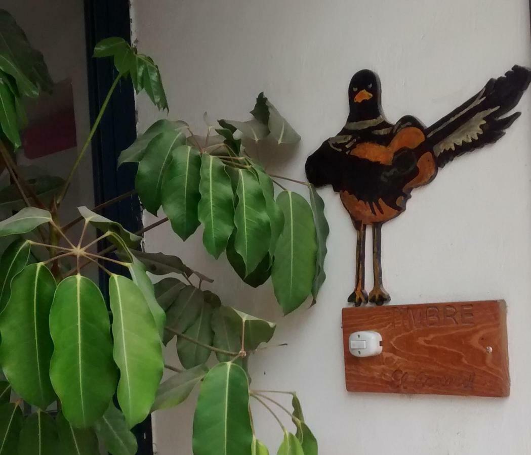 Hostal El Cascabel Cholula Buitenkant foto
